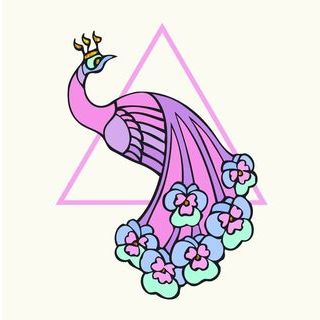 Pink Peacock