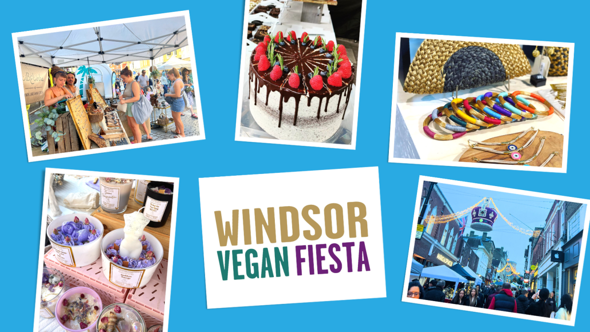 Windsor Vegan Fiesta